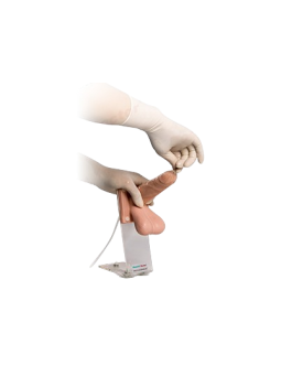 MALE CONDOM PRACTICE MODEL 